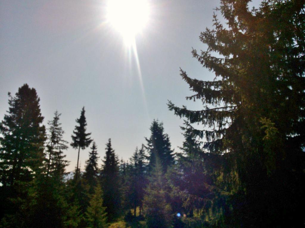 Ferienwohnungen Lemberger Krimml Esterno foto