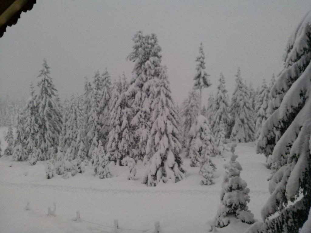Ferienwohnungen Lemberger Krimml Esterno foto